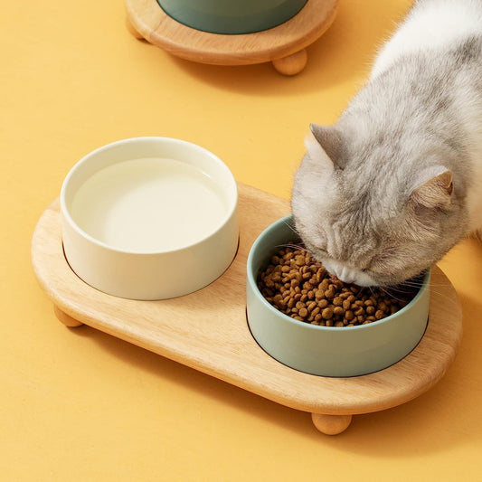Better Cat Bowls