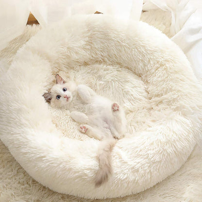 cat round bed white