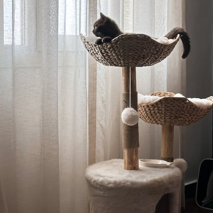 Zaō Onsen - Elegant Double Basket Tree