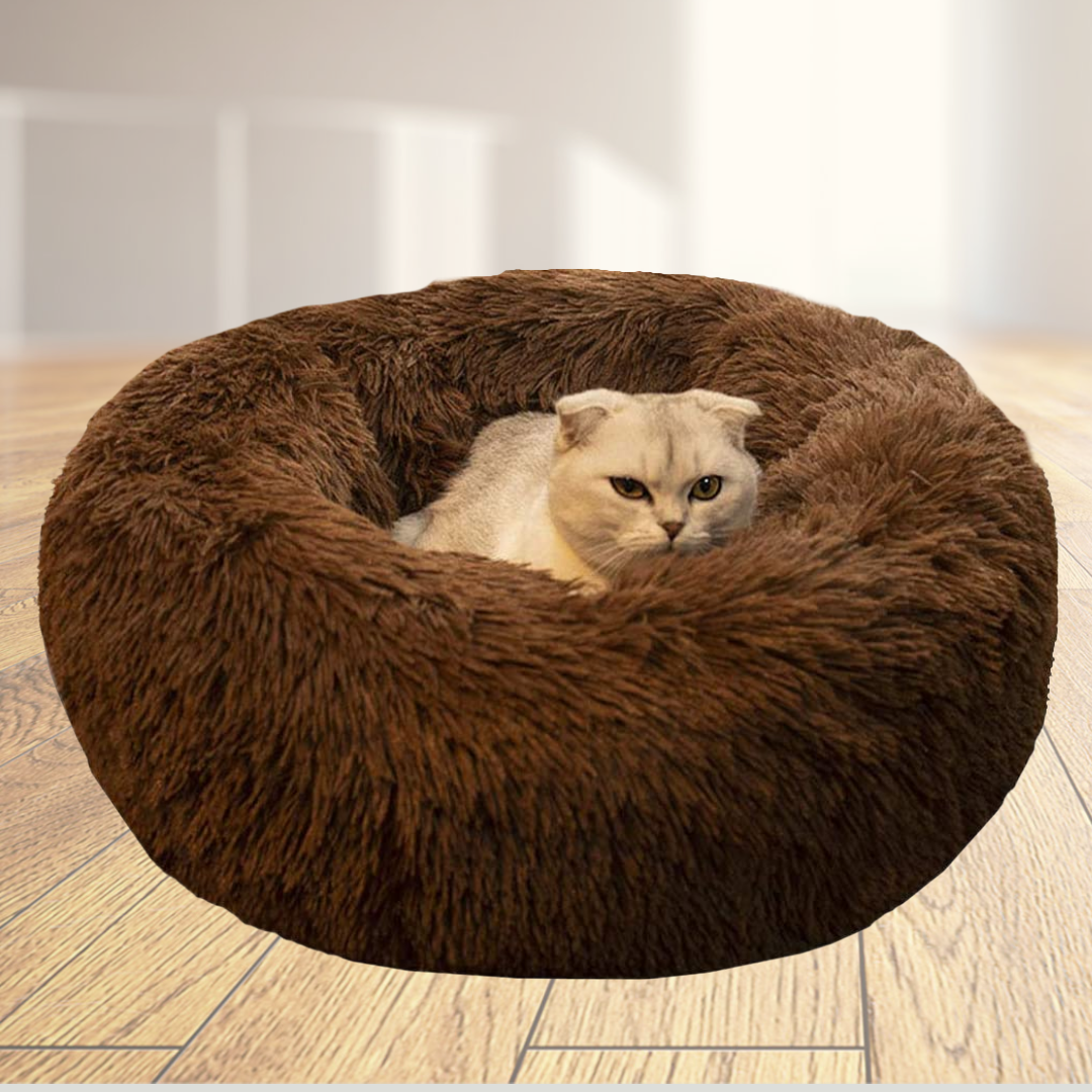 cat bed brown