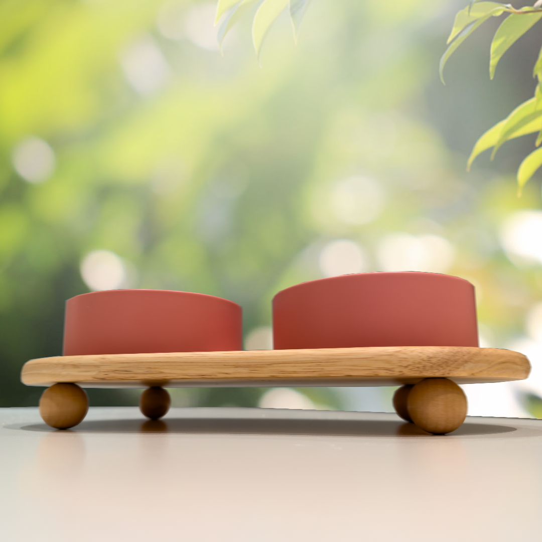 Ceramic Bowls with Wood stand