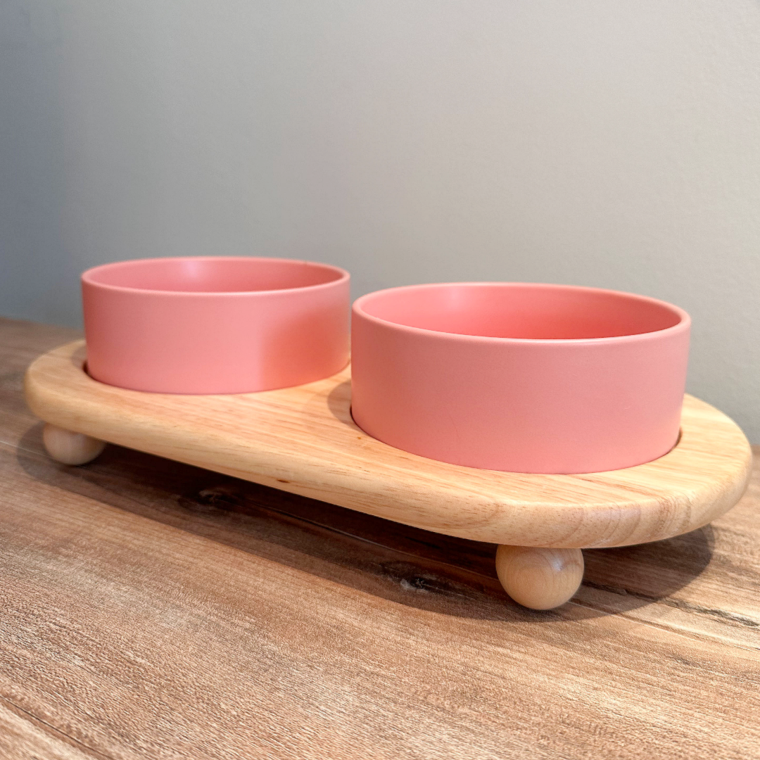 Ceramic Bowls with Wood stand