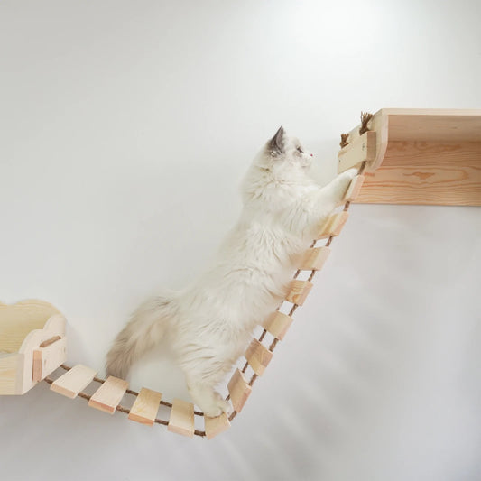 Wall mounted bridge for cats.